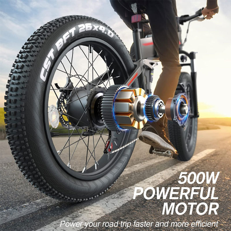 EZ Electric Bike Rentals Fat Tire Electric Bike Powerful 500W Motor